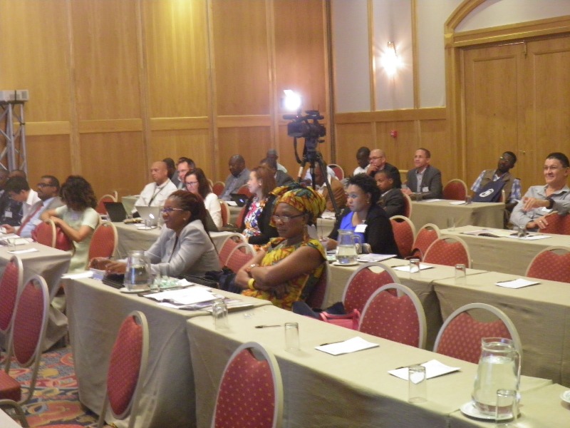 A Side View of Summit Attendees