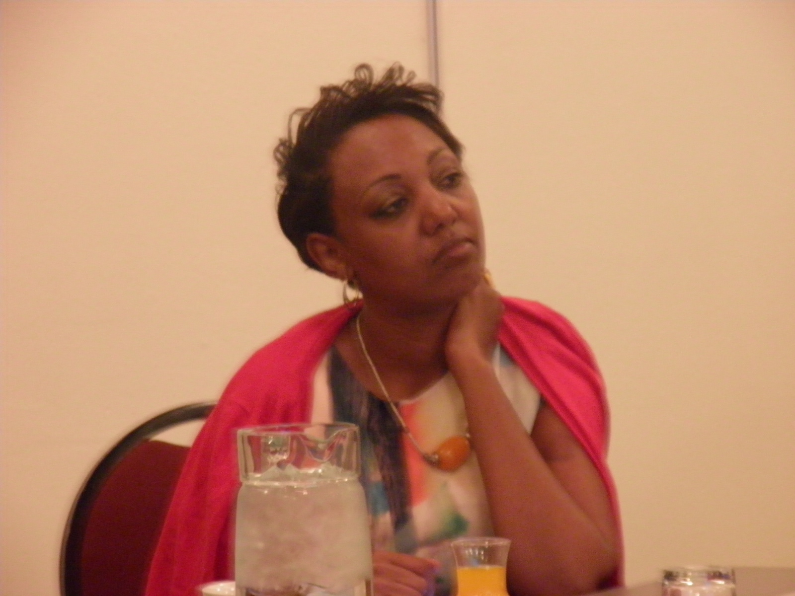 aficta_summit_2015_38