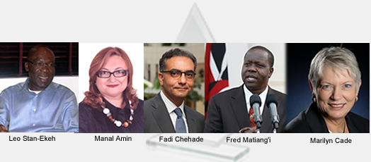African ICT Champion 2013